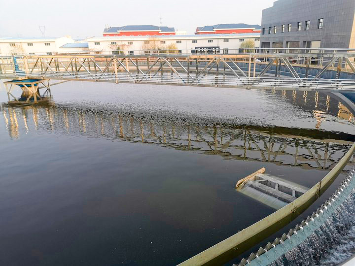 1612422251698638.jpg 3648_2736.jpg_720x720q90g-p.jpg