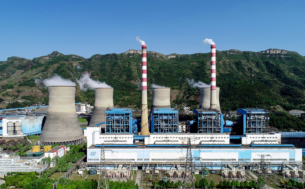 1617260715776378.jpg 1617260715776378.jpg