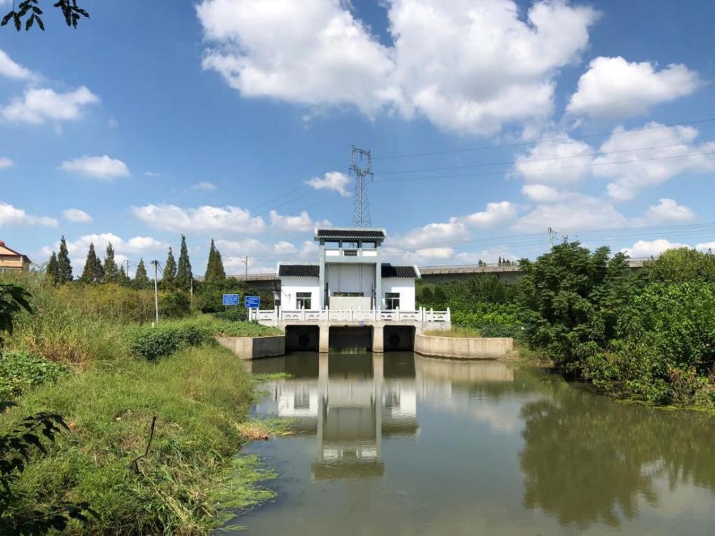 1627008950427502.jpg 1627008950427502.jpg