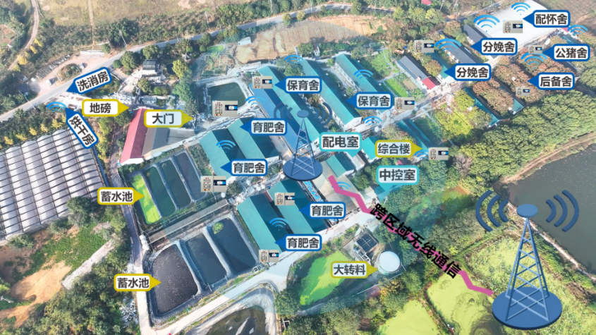 1749007559207729.png 图片18.png